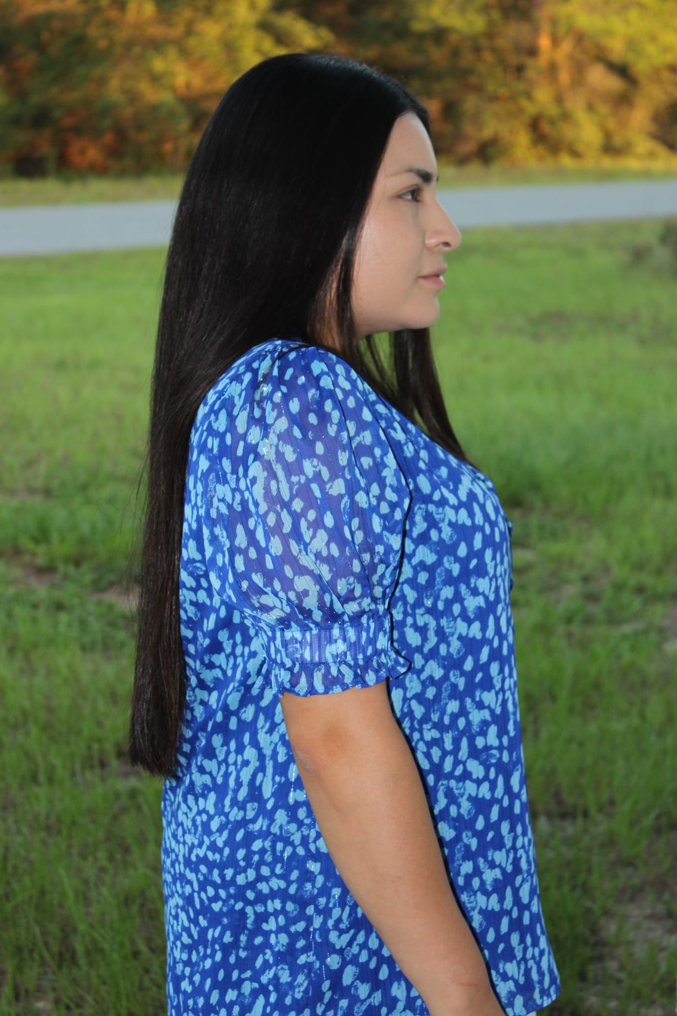Rebecca V-Neck Button Up Print Blouse